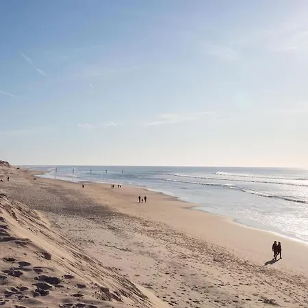 La Des Mouettes * Biscarrosse